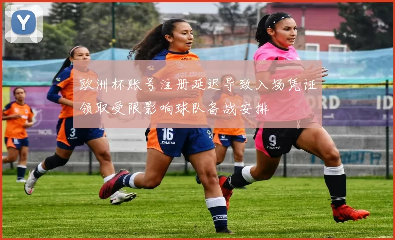 欧洲杯账号注册延迟导致入场凭证领取受限影响球队备战安排